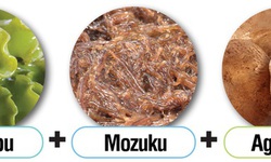 Fucoidan Mix AG l&#224; g&#236;?