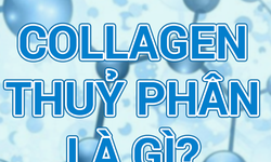 Collagen Peptide - Collagen thủy ph&#226;n hiểu sao cho đ&#250;ng?