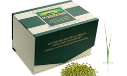 “Cách mạng” bữa ăn sáng thời dịch bệnh COVID-19