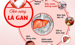 M&#225;ch bạn những thực phẩm bổ gan, gi&#250;p gan thải độc