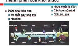 Tăng thuế l&#224;m giảm g&#225;nh nặng bệnh tật do thuốc l&#225; g&#226;y ra?