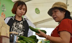 15 tác phẩm đạt giải "Ý tưởng truyền thông về an toàn thực phẩm"