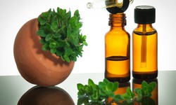 Những loại gia vị v&#224; thảo mộc chống ung thư
