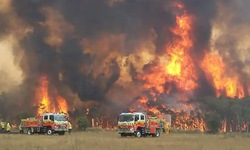 Ch&#225;y rừng tại Australia: Ban bố nhiều cảnh b&#225;o sơ t&#225;n mới