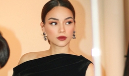Tài sản của Hồ Ngọc Hà nhiều ra sao trước khi bị trộm 20 cây vàng ...