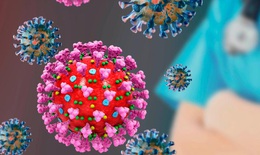 Biến thể Delta gây nguy cơ nhập ICU cao hơn 235% so với virus gốc