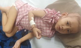 Người mẹ nghèo cầu xin cứu giúp con gái 4 tuổi ung thư máu quằn quại trong đau đớn
