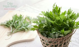 Giải pháp hỗ trợ người bị đau nhức xương khớp từ ngải cứu