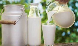 Người bệnh viêm xoang có nên dùng sữa và các chế phẩm từ sữa?