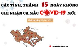 [Infographic] - Chi tiết 16 tỉnh, thành hơn 15 ngày không có ca mắc mới COVID-19