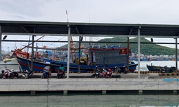 Ph&#242;ng dịch COVID-19 ở cảng c&#225; lớn nhất Nam Trung Bộ
