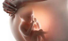 Vì sao thai phụ cần làm các xét nghiệm sàng lọc trước sinh?