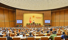 Sẽ tổ chức lễ tưởng niệm đồng bào tử vong và các cán bộ, chiến sĩ hy sinh vì COVID-19