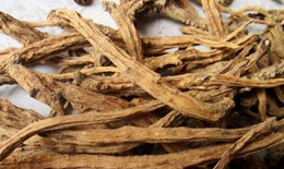Bài thuốc trị viêm đại tràng mạn thể thấp nhiệt