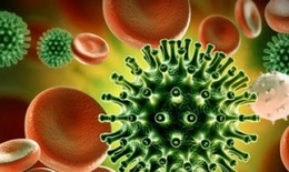 Thủ tướng chỉ đạo kiểm so&#225;t biến chủng mới Omicron của virus SARS-CoV-2