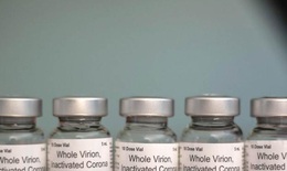 WHO phê duyệt sử dụng khẩn cấp vaccine Covaxin của Ấn Độ ngừa COVID -19