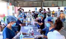 70% người từ 18 tuổi trở lên ở Thừa Thiên Huế đã được tiêm vaccine COVID-19