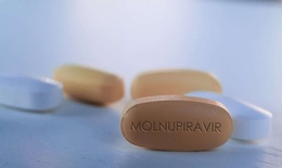 Bộ Y tế thông tin hiệu quả của thuốc Molnupiravir trong điều trị có kiểm soát bệnh nhân COVID-19 thể nhẹ