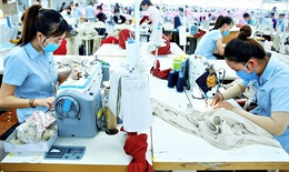 Tỉ lệ lao động thiếu việc làm, thất nghiệp tăng cao vì COVID-19