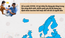 [Infographic] – Các nước áp dụng quy định tiêm vaccine COVID-19 thế nào?