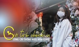 Giới trẻ check-in c&#249;ng c&#226;y th&#244;ng Noel m&#249;a COVID