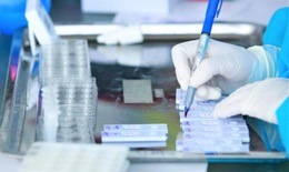 Phát hiện học sinh là F0, hai trường ở Hà Nội dừng học trực tiếp