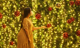 Người Sài Gòn hào hứng với cây thông Noel khổng lồ