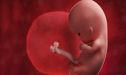 Sót nhau thai sau sinh: Nguyên nhân, triệu chứng và cách xử lý