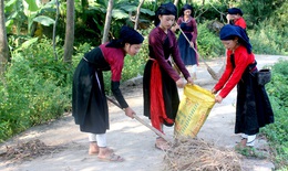 Phát huy hiệu quả phong trào 'Vệ sinh yêu nước, nâng cao sức khỏe nhân dân'