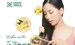 Trào lưu detox cho tóc chắc khỏe, giảm rụng tóc đơn giản từ gừng dừa