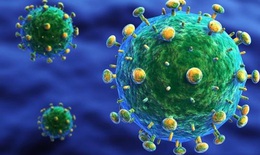 Nhiễm HIV: Triệu chứng, đường l&#226;y truyền v&#224; ph&#242;ng ngừa