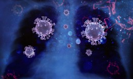 T&#236;m ra kh&#225;ng thể ngăn ngừa được mọi biến thể coronavirus?