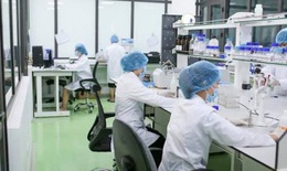 Giải pháp hỗ trợ giảm sổ mũi, nghẹt mũi do viêm xoang