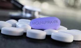 Hà Nội cấp phát khẩn 200.000 viên Molnupiravir điều trị F0 thể nhẹ 