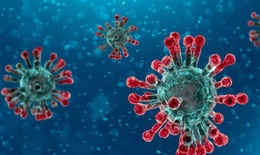 Viêm phổi do virus ở trẻ em: Triệu chứng, điều trị và cách chăm sóc, phòng ngừa