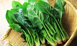 Nhiều người ăn cải bó xôi nhưng không biết rõ những tác dụng của rau này đối với sức khỏe