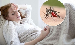 Các bài thuốc phòng và trị bệnh sốt rét