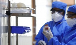 Máu của bệnh nhân COVID-19 được phục hồi, có thể tạo ra liệu pháp điều trị và vaccine mới