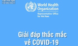 7 vaccine COVID-19 được WHO phê duyệt và hiệu quả đối với biến thể Delta