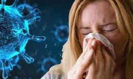 Xoa bóp bấm huyệt hỗ trợ giảm đau, hạ sốt trong điều trị COVID-19