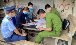 Phát hiện 1 tấn lợn thịt nhiễm dịch tả châu Phi
