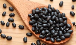 Đậu đen giúp nâng cao sức đề kháng, hỗ trợ điều trị bệnh