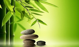 Bộ đôi Yoga và Thiền giải phóng sức mạnh tâm trí trị liệu ung thư 