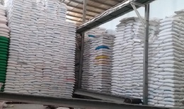 Xuất cấp hơn 4.000 tấn gạo hỗ trợ người dân 3 tỉnh gặp khó khăn do dịch COVID-19