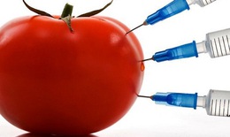 Nhận biết thực phẩm biến đổi gen qua các dấu hiệu nào?