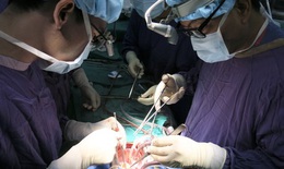 Nơi hội tụ các chuyên gia về bệnh mạch máu cả nước