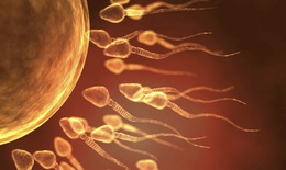 Triển vọng phát triển thuốc tránh thai cho nam giới