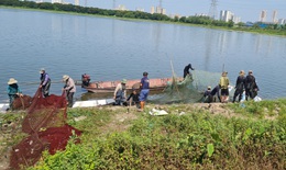 Nhóm người đánh bắt cá chui ở Hà Nội bị truy phạt 27 triệu đồng