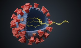 Vì sao khó kiếm tìm một loại thuốc kháng virus hiệu quả?