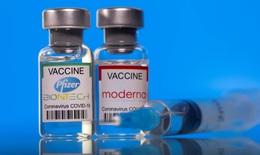 Bộ Y tế đề nghị các tỉnh, thành xem xét tiêm trộn vaccine COVID-19 Moderna và Pfizer
